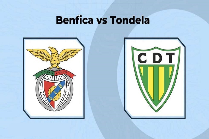 پخش زنده بازی بنفیکا و توندلا امروز 8 آبان 1404