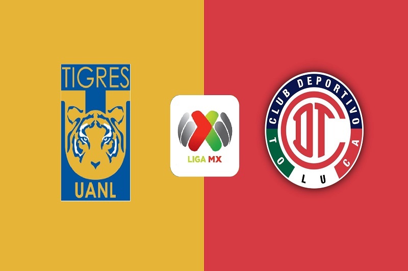 پخش زنده بازی تایگرس و تولوکا امروز 21 آذر 1404