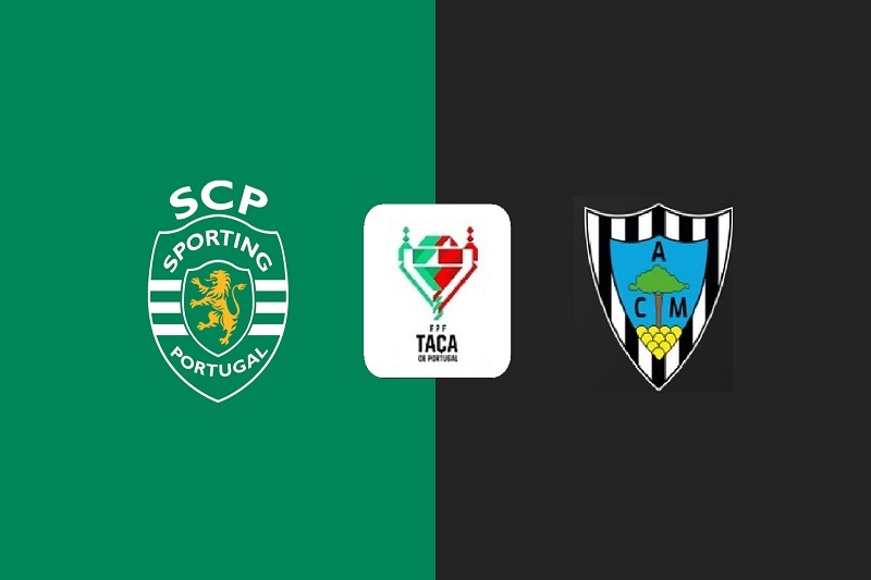 پخش زنده بازی اسپورتینگ و مارینهنس امروز 1 آذر 1404