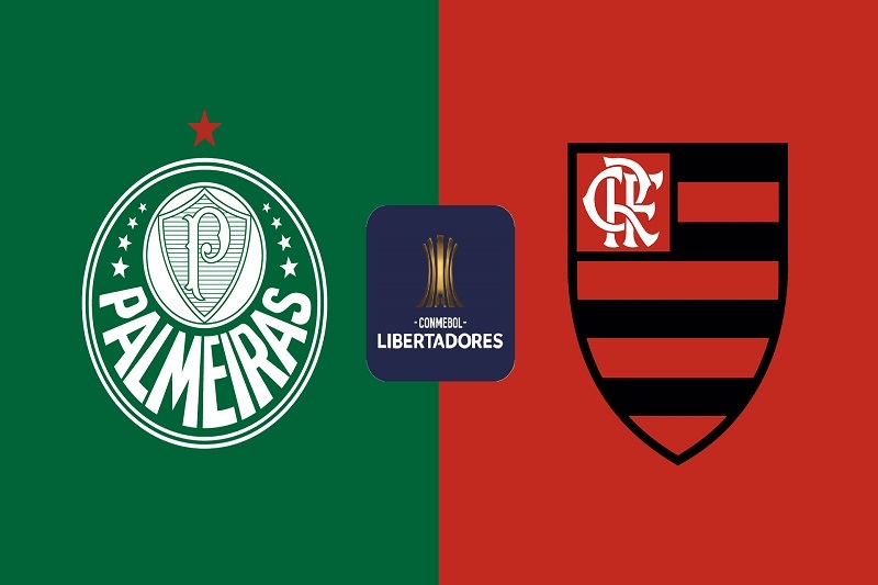 پخش زنده بازی پالمیراس و فلامینگو امروز 9 آذر 1404