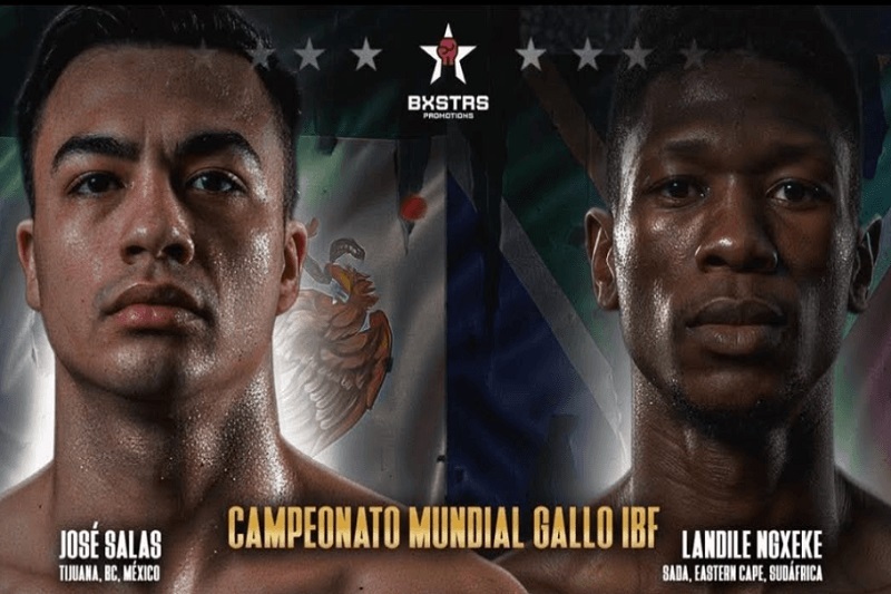 پخش زنده بوکس خوزه سالاس و لاندیل نگزگه امروز 23 آذر 1404