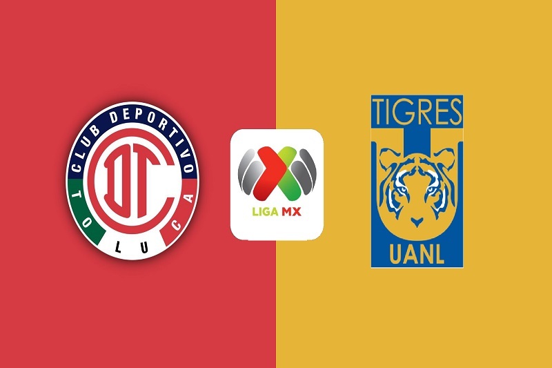 پخش زنده بازی تولوکا و تایگرس امروز 24 آذر 1404