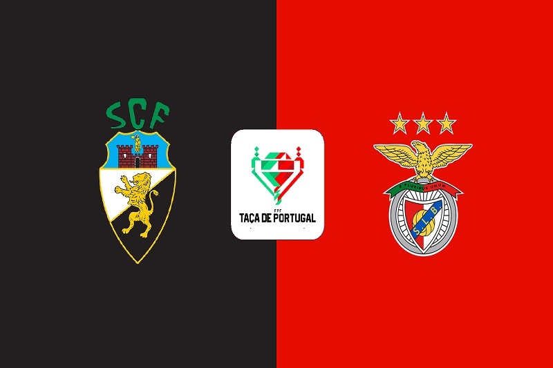 پخش زنده بازی فارنسی و بنفیکا امروز 27 آذر 1404